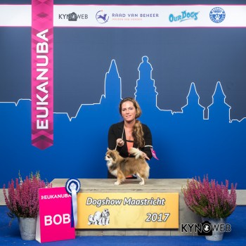 Afbeelding invoegen